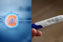 تفاوت های IVF و IUI / راهنمای کامل برای درمان ناباروری