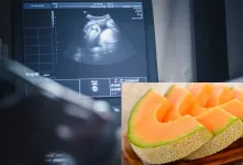 خواص ملون برای جنین و تاثیرات مثبت آن بر بارداری