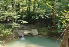 جنگل لفور مازندران راهنمای سفر به بهشتی بکر