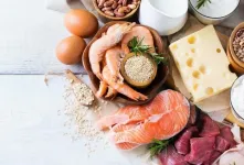 غذای طبیعی چیست و چه اهمیتی دارد؟
