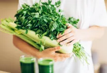 خواص کرفس برای کبد / یک داروی طبیعی برای سلامت کبد
