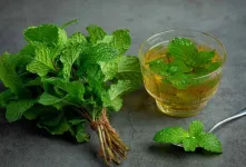 فواید سکنجبین برای کبد یک نوشیدنی سنتی با خواص درمانی