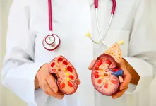 تاثیرات لبنیات بر سلامت کلیه ها