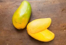 فواید انبه برای معده و دستگاه گوارش