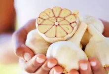 فواید بی نظیر سیر برای معده و سلامت گوارش