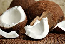 فواید بی نظیر نارگیل برای معده و سیستم گوارش