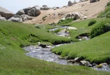 دشت میشان همدان / بهشتی سرسبز در دامنه الوند