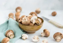 فواید قارچ برای معده و سلامت گوارش
