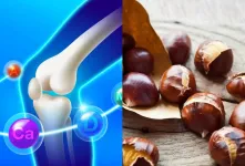 با خواص بلوط برای بدن و استخوان ها آشنا شوید