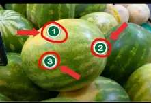 انتخاب هندوانه شیرین / ۳ روش طبیعی برای انتخاب هندوانه قرمز و شیرین