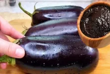 غذا با بادمجان / طرز تهیه غذای مجلسی با رب انار و بادمجان