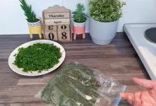 روش های فریز کردن و نگهداری انواع سبزیجات (سبزی قورمه، سبزی کوکو، سبزی پلویی)