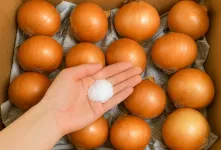 روشی طبیعی برای نگهداری از پیاز بدون شل شدن / تا سالها پیاز سالم میماند