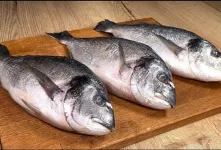 دیگه ماهی را سرخ نکنید / روش جدید برای درست کردن ماهی بدون پخش بو