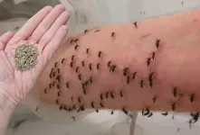 از بین بردن پشه کوره و مگس به روشی کاملا طبیعی
