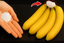 روش طبیعی برای نگهداری از موز بدون نیاز به یخچال / تا ۱ سال موز سیاه نمیشود