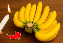 روش طبیعی برای نگهداری از موز برای مدت طولانی / تا ۶ ماه موز سیاه و نرم نمیشود