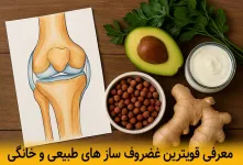 معرفی قویترین غضروف ساز های طبیعی و خانگی