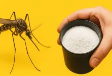 رهایی دائمی از پشه ها بدون مواد شیمیایی با ترفند ساده متخصصان
