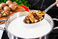 طرز تهیه پنیر گردویی یک صبحانه سالم و مقوی