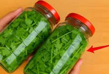 چگونه گشنیز را به مدت یک سال بدون خراب شدن نگهداری کنیم؟