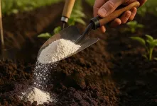 چگونه خاک سفت گلدان و باغچه را نرم کنیم ؟