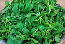 طرز تهیه نعناع خشک خانگی بدون چوب و سیاه شدن