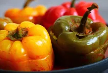 طرز تهیه دلمه فلفل دلمه ای با همه نکات