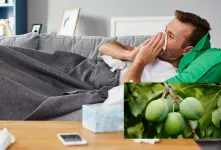 بررسی خواص گوجه سبز برای درمان سرماخوردگی