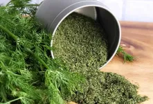 روش خشک کردن شوید بدون تلخی و سیاهی