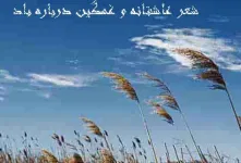 خاص ترین و عاشقانه ترین شعر در وصف باد