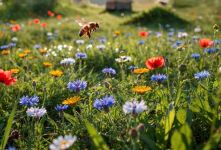 شعرکودکانه ای زنبور طلایی - هنگامه یاشار