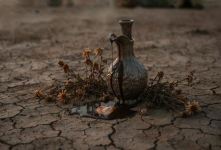 ضرب المثل از کوزه همان برون تراود که در اوست؛ راز ظهور درون
