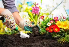 جدیدترین متن های روز جهانی باغبانی به انگلیسی همراه با ترجمه !