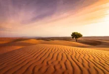 این عکس های کویر رو هیچ جایی ندیدی !