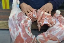 انتخاب بهترین گوشت قرمز برای خورشت / کدام قسمت گوشت گوسفند برای خورشت بهتر است