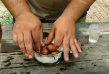 کاشتن گردو با روشی ساده / چگونه گردو بکاریم
