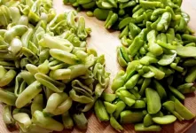 ده کیلو باقالی رو یه ساعته پاک کن / ترفند کندن پوست باقالی یه روش سه سوته برای پاک کردن باقالی