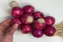 ساخت پیاز دیوارکوب برای آشپزخانه: ایده ای خلاقانه برای دکوراسیون