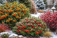 درختان زینتی مقاوم به سرما؛ ۱۵ درختچه زمستانی زیبا برای باغ و حیاط