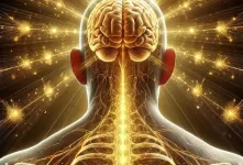 قانون جذب، انسان‌ و تفکراتش از انرژی خالصند و از انرژی دیگران نیز تاثیر پذیر است !