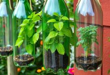 از بطری و کارتن تا شاهکار دکوری؛ ۱۰ ایده خلاقانه که دورریختنی ها را به وسایل شیک تبدیل می کند