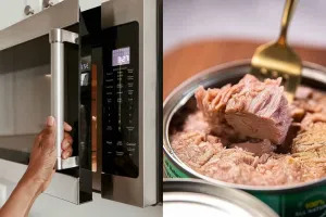چگونه تن ماهی را در مایکروویو گرم کنیم ؟
