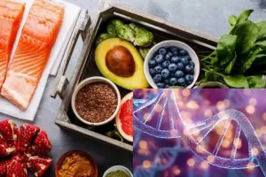 چگونه می‌توان سلول‌های بنیادی را تقویت کرد؟