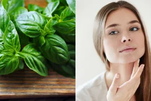 مزایا و معجزه ی ماسک ریحان برای پوست