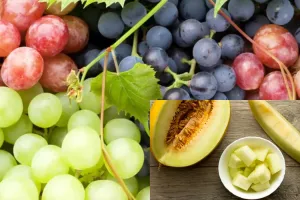 آیا مصرف انگور و خربزه در زمان سرماخوردگی مضر است؟