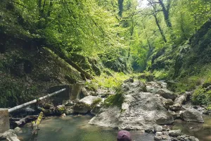 چشمه لال / جاذبه طبیعی بی نظیر در استان گلستان