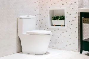 بهترین راهکار و نکات موثر برای پیشگیری و از بین بردن سوسک ها در توالت