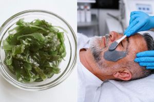 جلبک دریایی؛ اکسیر جوانی و شادابی پوست