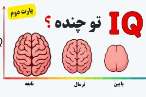 باهوشی یا فقط خیال می کنی؟ خودت رو فریب نده امتیاز واقعی هوش تو اینجاست